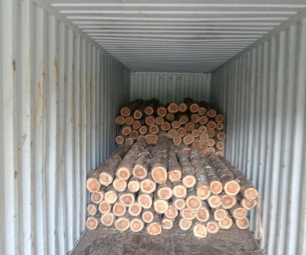 Teak Wood Log Manufacturers in Chennai